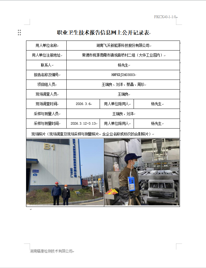 湖南飞沃新能源科技股份有限公司定期检测报告