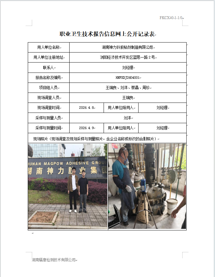 湖南神力铃胶粘剂制造有限公司定期检测报告
